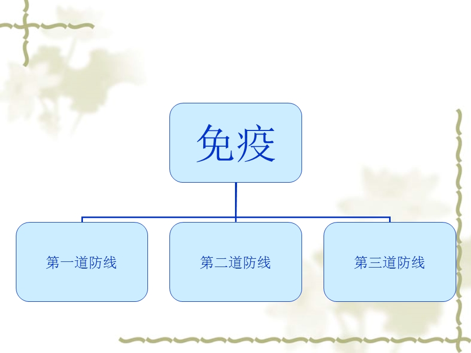 免疫系统和免疫功能.ppt_第2页