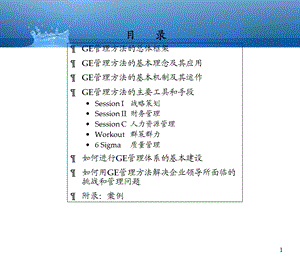 全球学习的GE管理.ppt