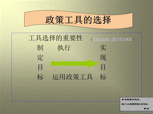 政策工具的选择.ppt