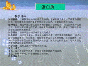 了解肽键及多肽了解蛋白质的组成初步掌握蛋白质的重.ppt