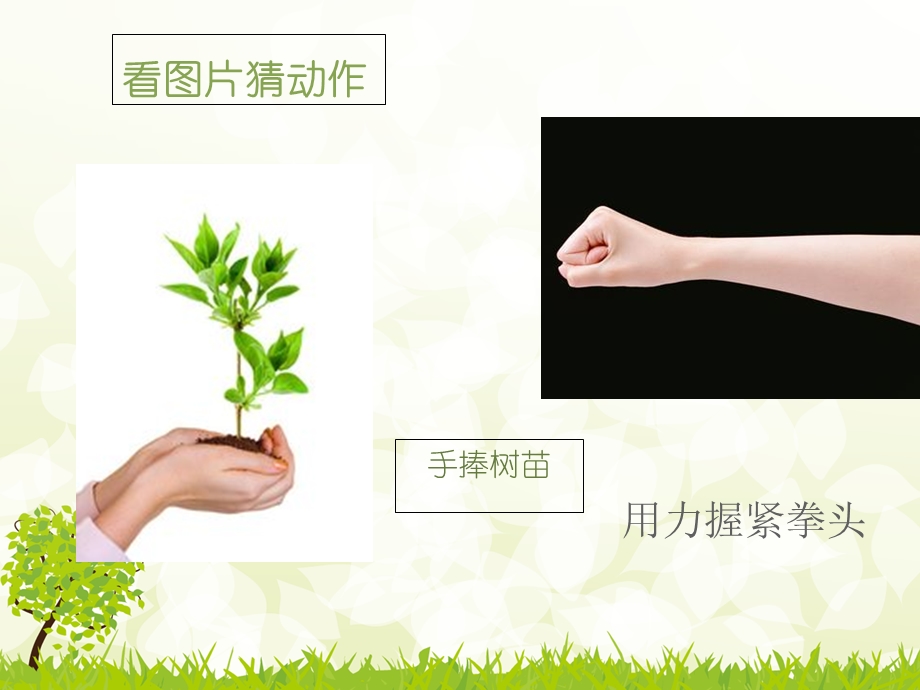 学会运用动词把动作写具体.ppt_第1页