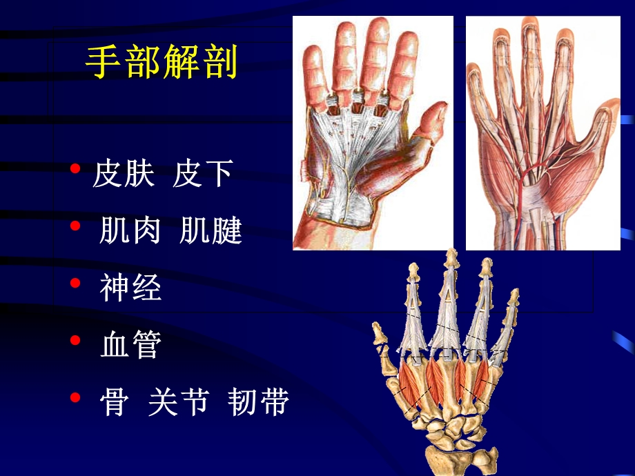 手外伤的处理原则.ppt_第3页