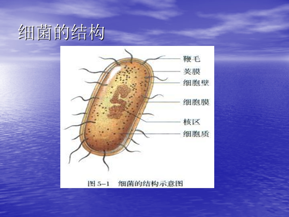 抗菌药物分类及作用机制.ppt_第2页