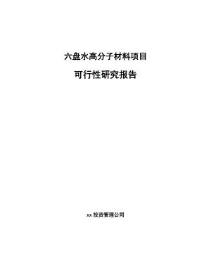 六盘水高分子材料项目可行性研究报告.docx