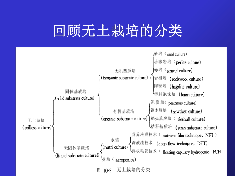 无土栽培的主要形式及管理技术.ppt_第3页