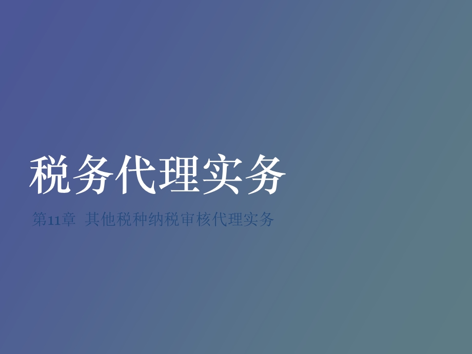 其他税种纳税审核代理实务.ppt_第1页