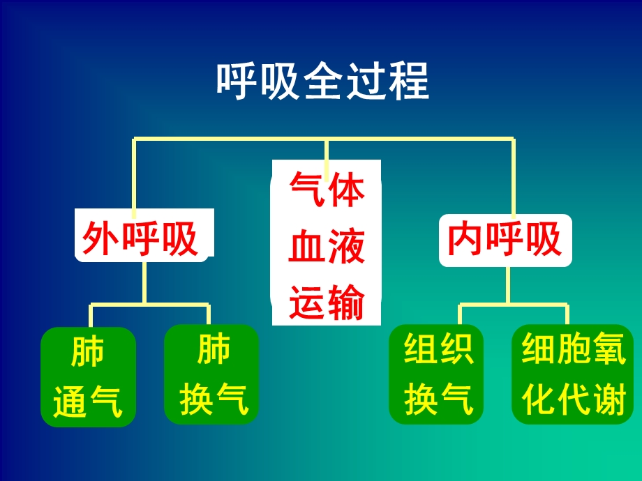 第二讲吸入麻醉药的药代动力学及药效学11级护理.ppt_第3页