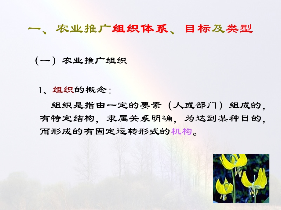 农业推广组织与人员管.ppt_第3页