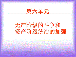 六单元无产阶级斗争和资产阶级统治加.ppt