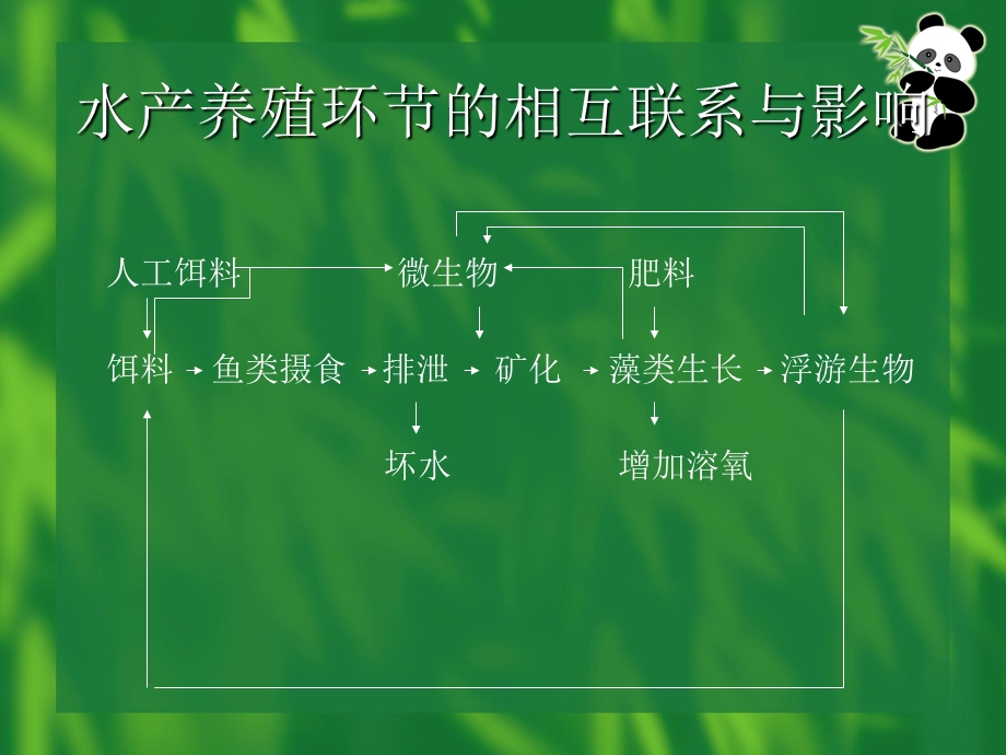 净水微生物肽肥与水产养殖.ppt_第3页