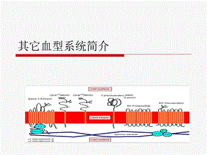 其它血型系统简介.ppt