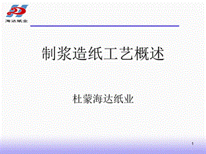 制浆造纸工艺概述(海达纸业).ppt