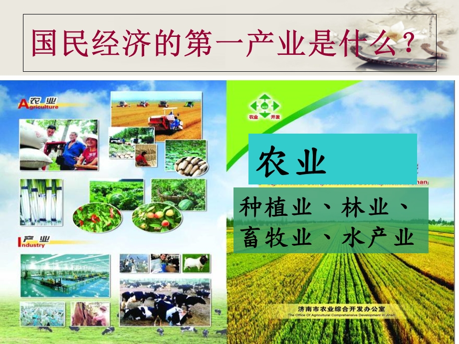 农业布局与物流地理种植业.ppt_第2页