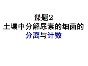 土壤中分解尿素、纤维素的细菌的分离与计数.ppt