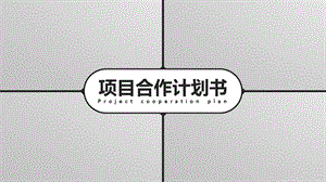 完美组合●商务项目合作计划书.ppt