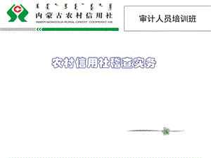 信用社稽查实际操作培训.ppt