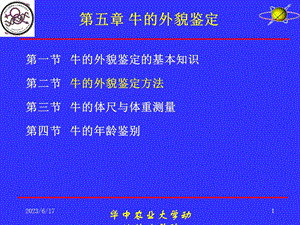 养牛学牛的外貌鉴定.ppt