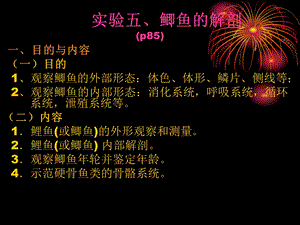 实验6鲫鱼的解剖.ppt