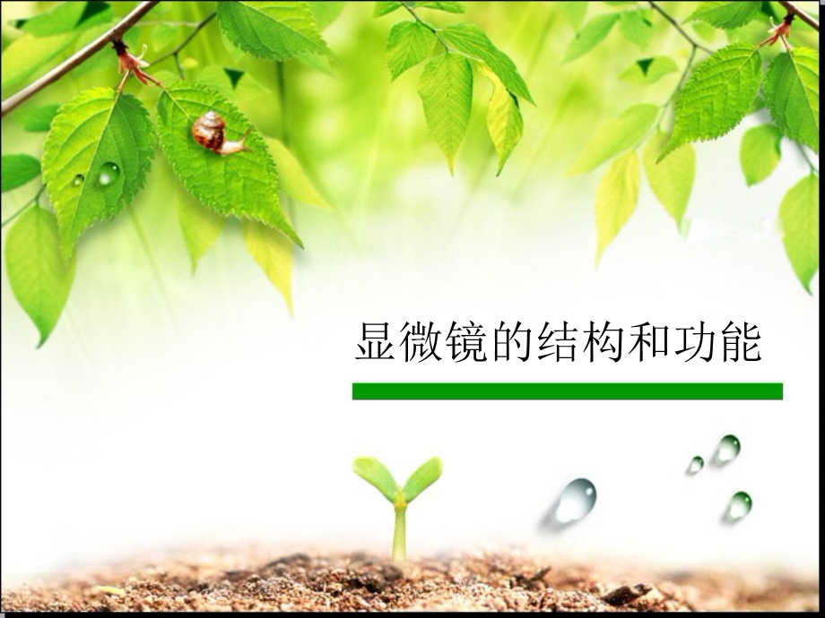 显微镜的结构和功能.ppt_第1页