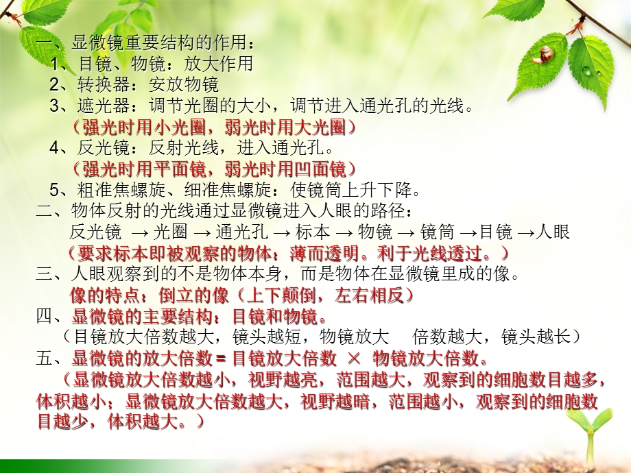 显微镜的结构和功能.ppt_第3页