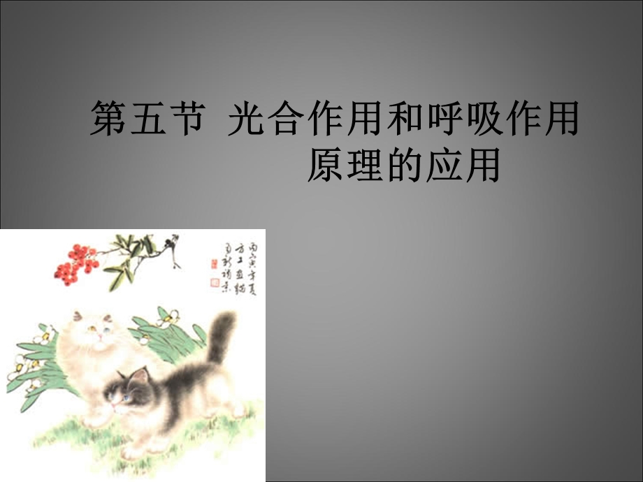 光合作用和呼吸作用原理的应用.ppt_第1页