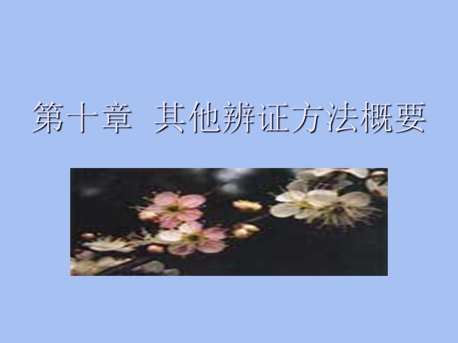 其他辨证方法概要.ppt_第1页