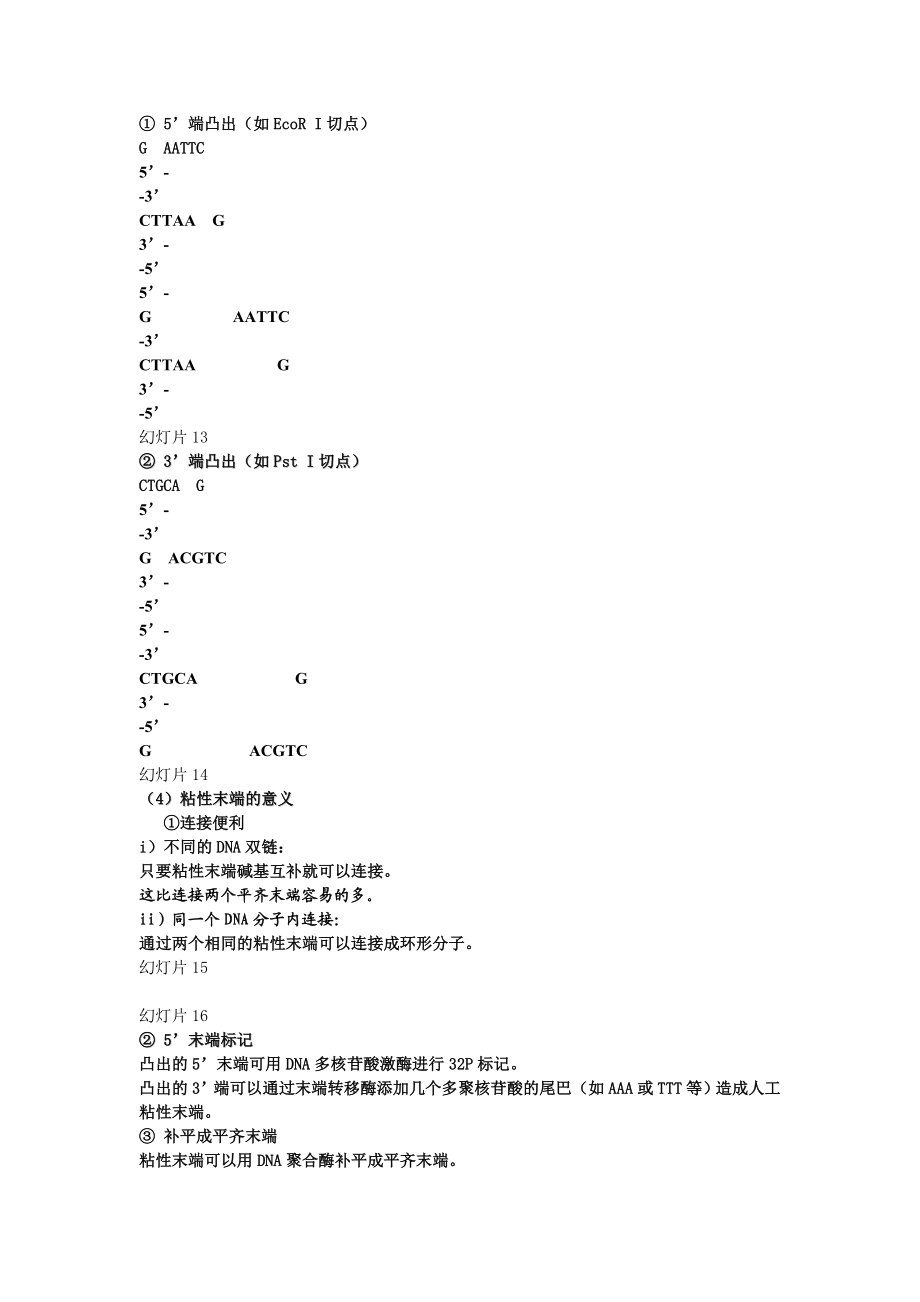 第二章基因工程的酶学基础.doc_第3页