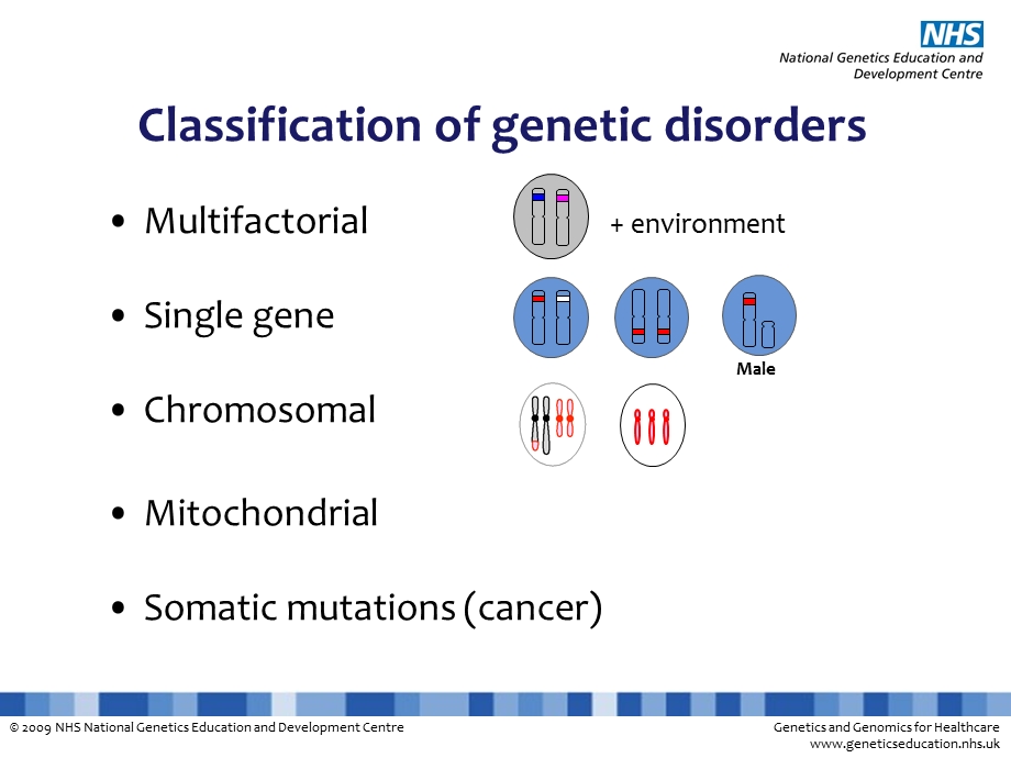 遗传疾病的分类.ppt_第3页