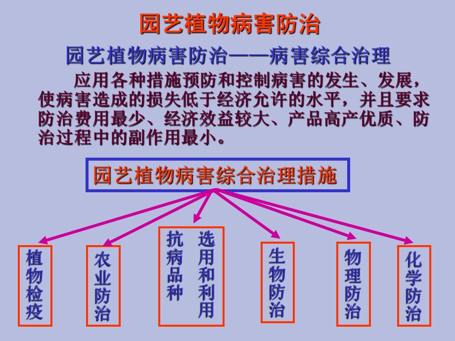 园艺植物病害防治.ppt_第2页