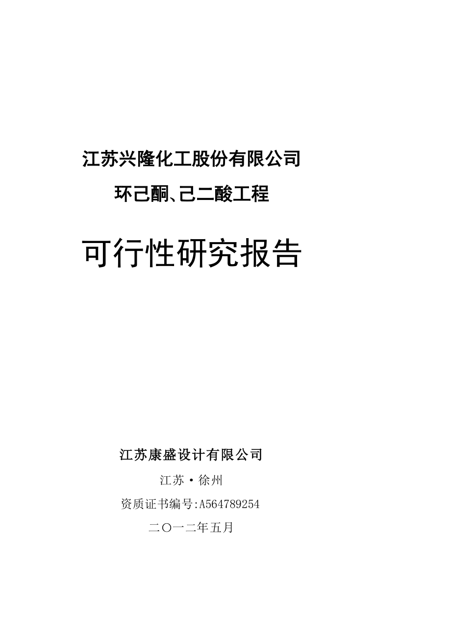 实用资料精品可研某化工公司环己酮及己二酸工程项目可行性研究报告.doc_第2页