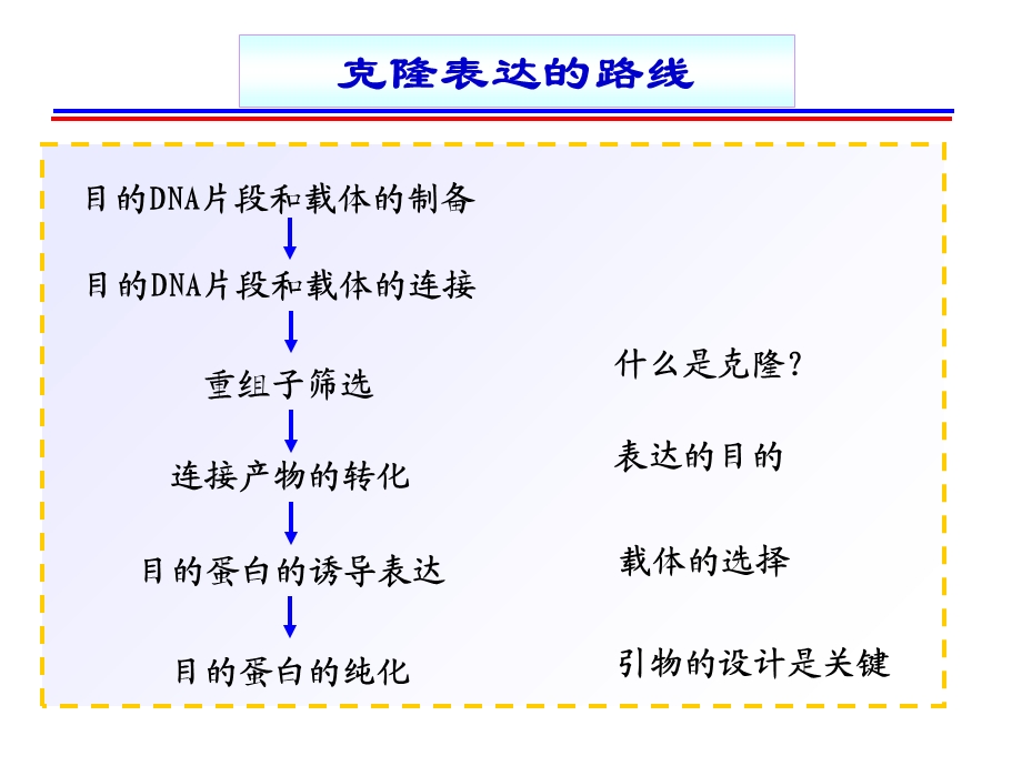 克隆表达与引物设计.ppt_第2页