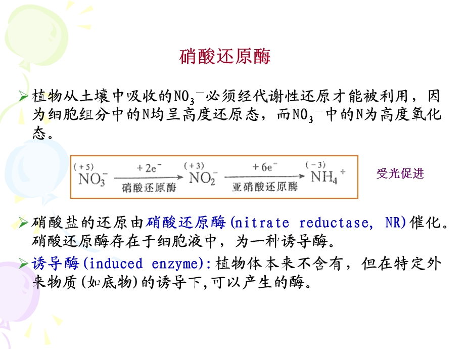 实验三硝酸还原酶活性测定.ppt_第2页