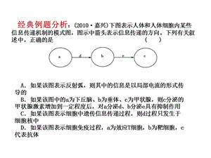 免疫调节-一轮复习.ppt