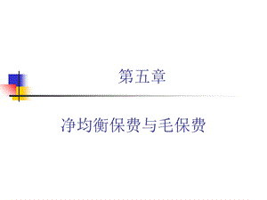 均衡净保费和毛保.ppt