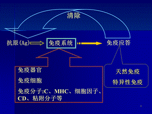 免疫器官与免疫细胞.ppt