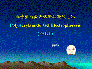 血清蛋白聚丙烯酰胺凝胶电泳.ppt