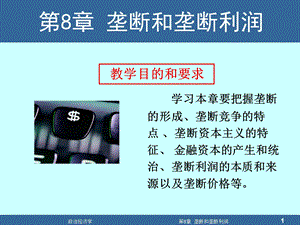 垄断和垄断利润.ppt