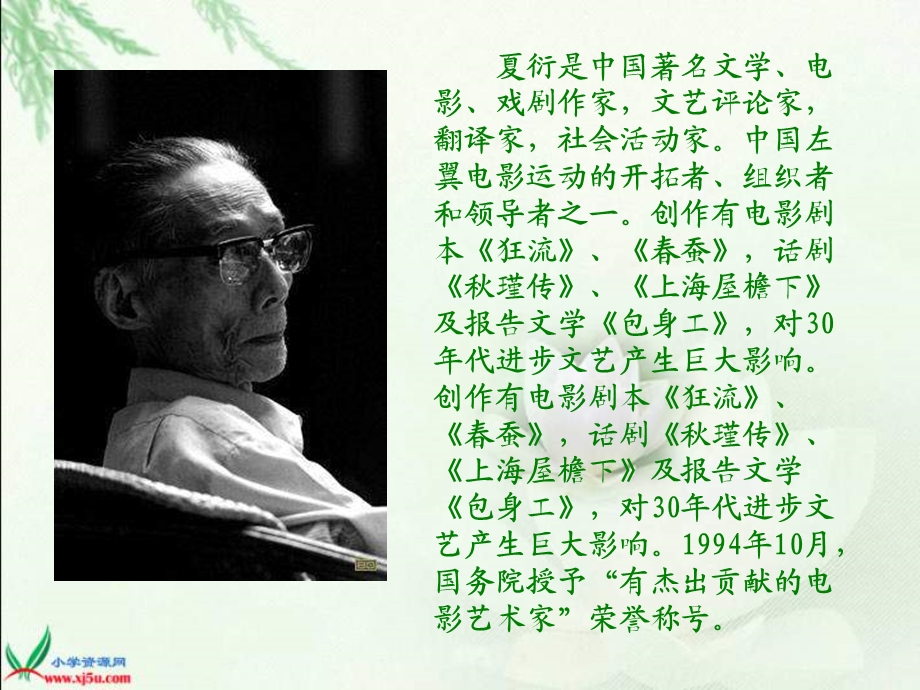 六年级语文野草课件.ppt_第2页