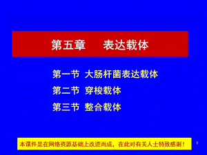 第5章表达载体.ppt