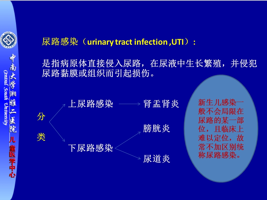 新生儿尿路感染.ppt_第2页