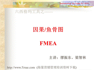 六西格玛工具之-因果、鱼骨图.ppt