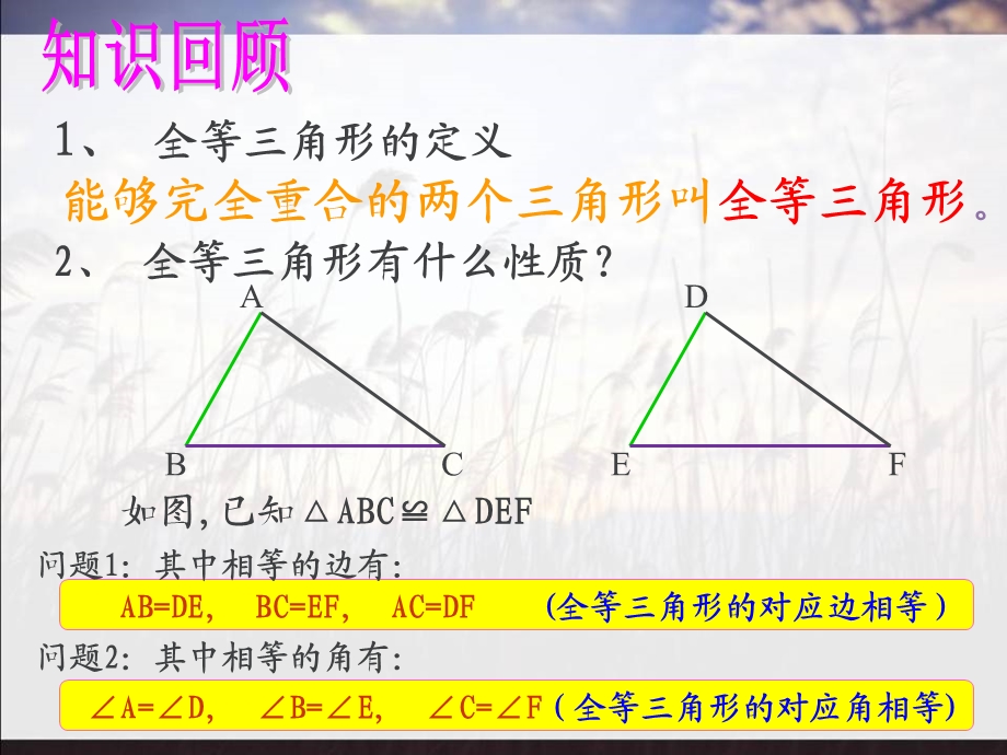 判定全等三角形的条件定稿.ppt_第2页