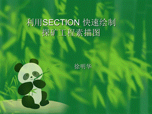 利用SECTION快速绘制探矿工程素描.ppt