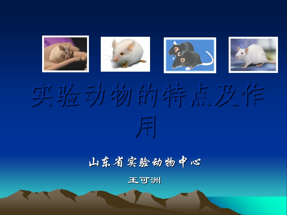 实验动物的特点.ppt_第1页