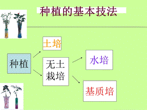 种植的基本技法.ppt