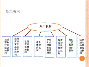 劳动者的权利与义务.ppt