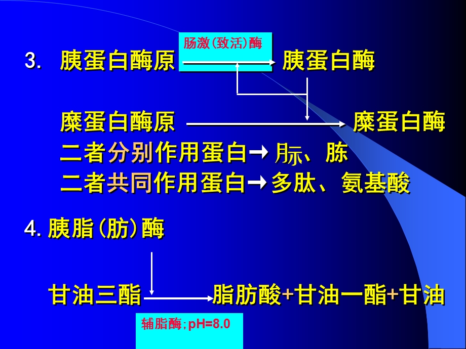 一胰液分泌成分及作用由胰腺腺泡细胞和小导管细.ppt_第3页