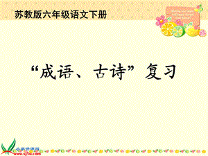 六年级语文下册课件“成语、古诗”复习.ppt