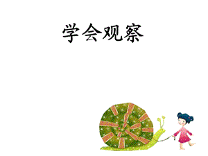 学会观察-三年级语文作文.ppt