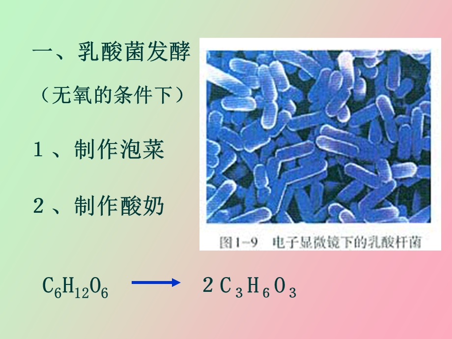 制作泡菜并检测亚硝酸盐含量使用.ppt_第3页